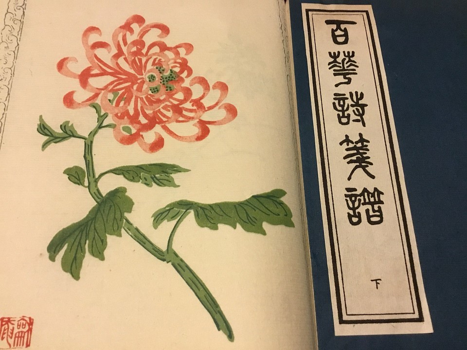 張兆祥・画   1992年